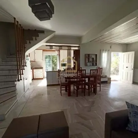 Teo's Family House- Amazing View Ferienhaus Metokhion Patriotikon
